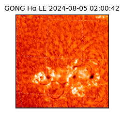 gong - 2024-08-05T02:00:42