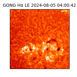 gong - 2024-08-05T04:00:42