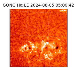 gong - 2024-08-05T05:00:42