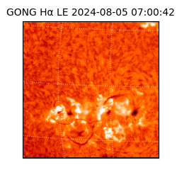gong - 2024-08-05T07:00:42
