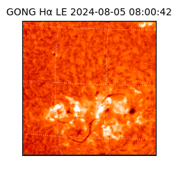 gong - 2024-08-05T08:00:42