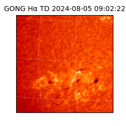 gong - 2024-08-05T09:02:22