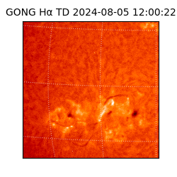 gong - 2024-08-05T12:00:22