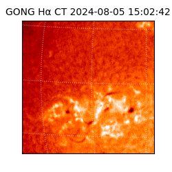 gong - 2024-08-05T15:02:42