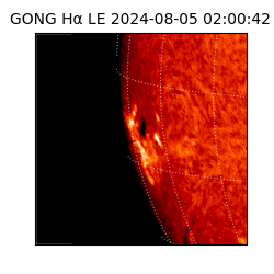 gong - 2024-08-05T02:00:42