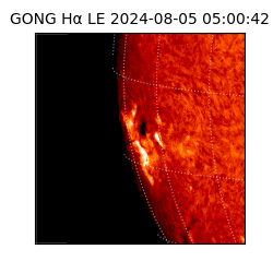 gong - 2024-08-05T05:00:42