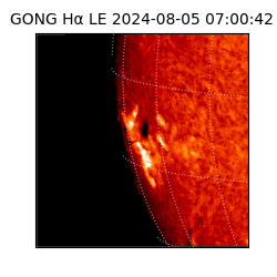 gong - 2024-08-05T07:00:42