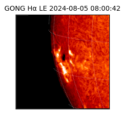 gong - 2024-08-05T08:00:42