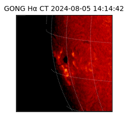 gong - 2024-08-05T14:14:42