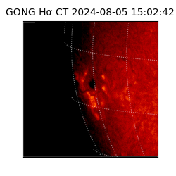 gong - 2024-08-05T15:02:42