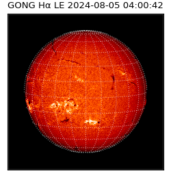 gong - 2024-08-05T04:00:42