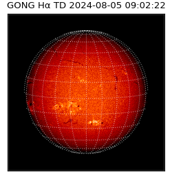 gong - 2024-08-05T09:02:22