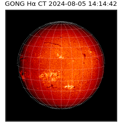 gong - 2024-08-05T14:14:42