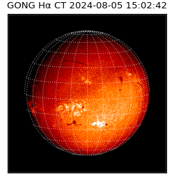 gong - 2024-08-05T15:02:42