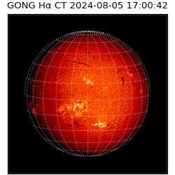 gong - 2024-08-05T17:00:42