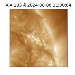 saia - 2024-08-06T11:00:04.843000
