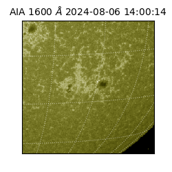 saia - 2024-08-06T14:00:14.126000