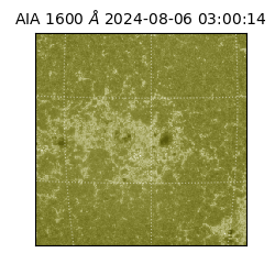 saia - 2024-08-06T03:00:14.126000