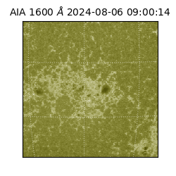 saia - 2024-08-06T09:00:14.126000