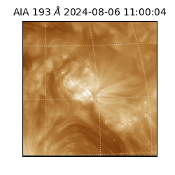saia - 2024-08-06T11:00:04.843000