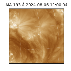 saia - 2024-08-06T11:00:04.843000