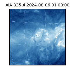 saia - 2024-08-06T01:00:00.625000