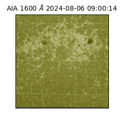saia - 2024-08-06T09:00:14.126000