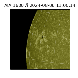 saia - 2024-08-06T11:00:14.126000
