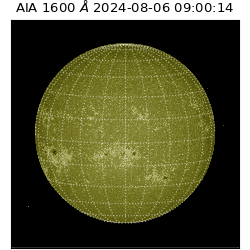 saia - 2024-08-06T09:00:14.126000
