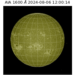 saia - 2024-08-06T12:00:14.126000