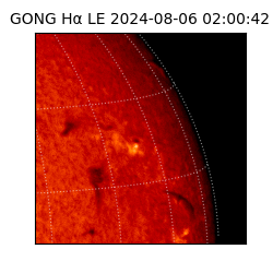 gong - 2024-08-06T02:00:42