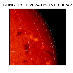 gong - 2024-08-06T03:00:42