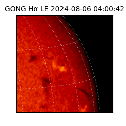 gong - 2024-08-06T04:00:42