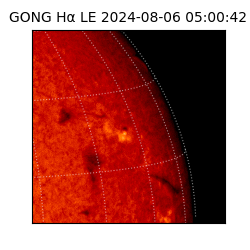 gong - 2024-08-06T05:00:42