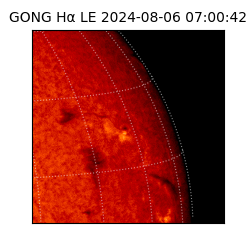 gong - 2024-08-06T07:00:42