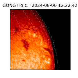 gong - 2024-08-06T12:22:42