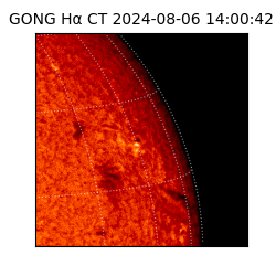 gong - 2024-08-06T14:00:42