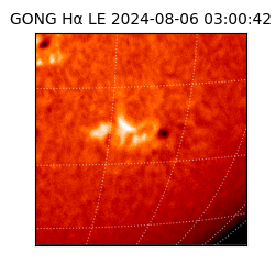 gong - 2024-08-06T03:00:42