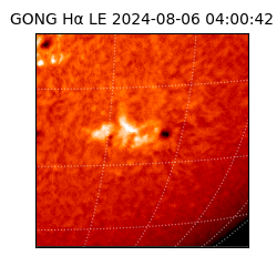 gong - 2024-08-06T04:00:42
