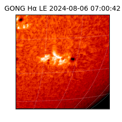 gong - 2024-08-06T07:00:42