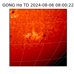 gong - 2024-08-06T08:00:22