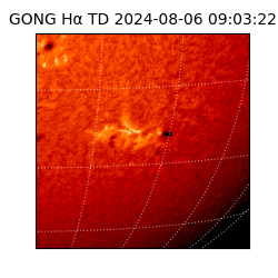 gong - 2024-08-06T09:03:22