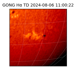 gong - 2024-08-06T11:00:22