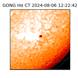 gong - 2024-08-06T12:22:42