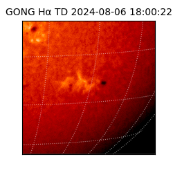 gong - 2024-08-06T18:00:22