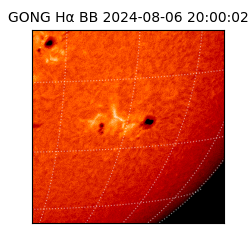 gong - 2024-08-06T20:00:02