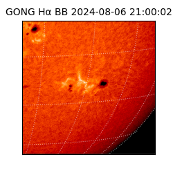 gong - 2024-08-06T21:00:02