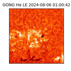 gong - 2024-08-06T01:00:42
