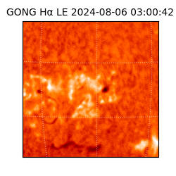 gong - 2024-08-06T03:00:42