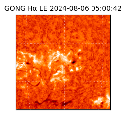 gong - 2024-08-06T05:00:42